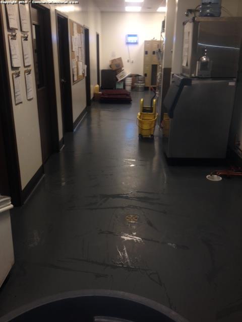 Mopping of the floors in back room office areas 