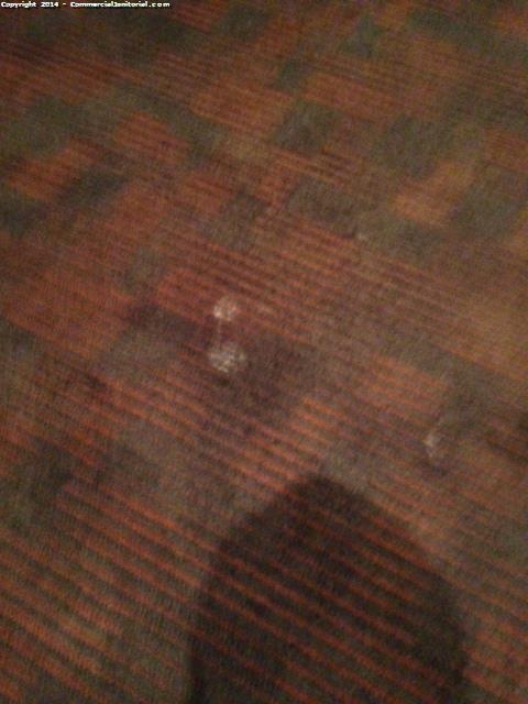 There were a few spots of potatoes in the back PDR carpet. This cannot happen tomorrow. I cleaned it up. See photos.
