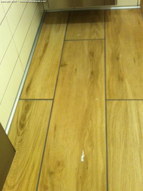 Cleaners present during inspection All job card were done floors were swept and mop Issues Lite debris in the restrooms 
