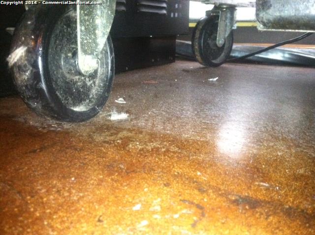 Look under appliances when cleaning at a bar and restaurant
