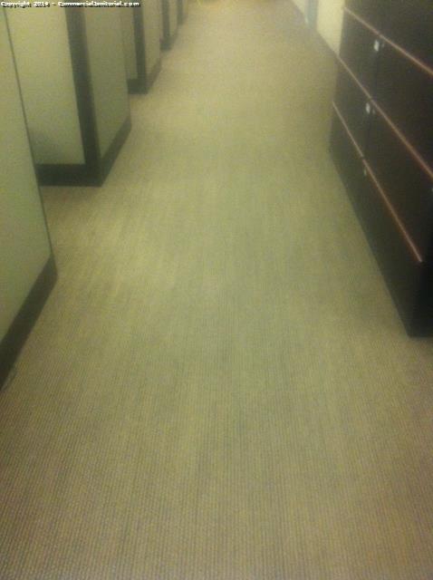 Came to sight to check on special projects crews and the carpet turned out great!