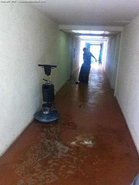 8/26/14

Training day here at CMJ.

Our trainer is showing our team the proper way of machine scrubbing the concrete floors.

Nice team work!

Robbie M.