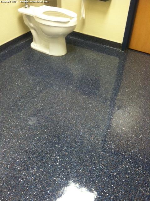 The restrooms were cleaned such as the toilet being scrubbed also the floor was polished 