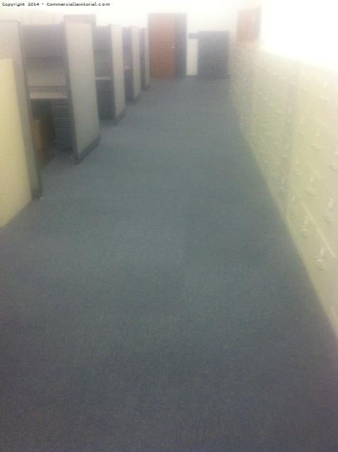 Everything seems to look great with the carpet being completed 
