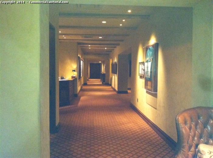  We do Commercial Carpet Cleaning in hotel. This is the picture of cleaned carpet in hotel. Our crews are experts at restoring high traffic areas on carpets and furniture. We also specialize in pet stain and odor removal.