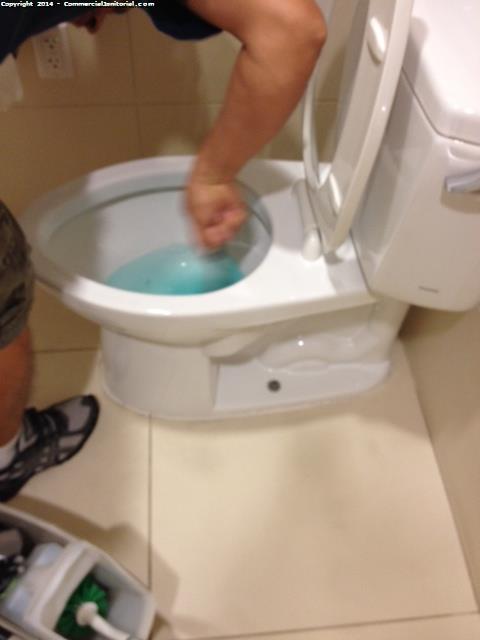 Making sure the toilet is disinfected inside & out! 