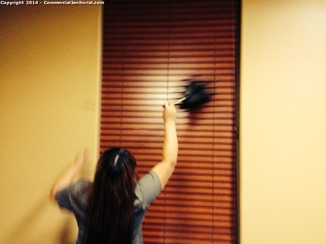 7.21.14 Janeth. & Viviana performed blind dusting

Cleaner missed the top portions so we are re-doing the blinds to teach them.

Client will be thrilled!