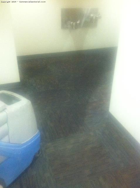 Extracted and sanitized Carpet 