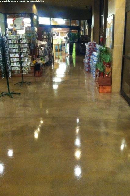 Final report - Every thing looks great floor crew scrubbed and waxed store. Every thing was complete. Things are just getting put back. 