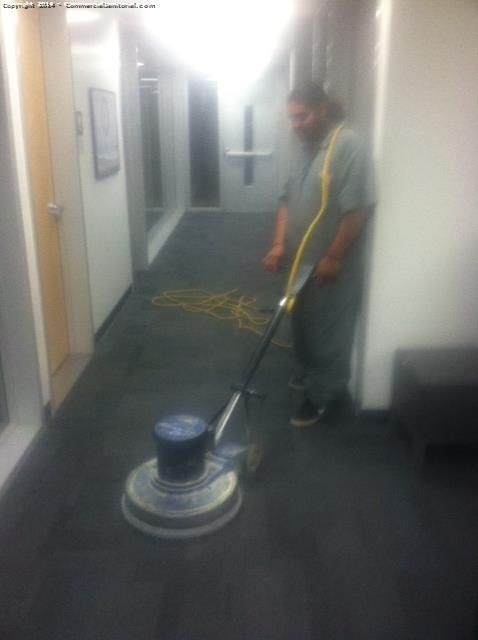 The floor crew went a head and did a deep shampooing on all carpet areas 