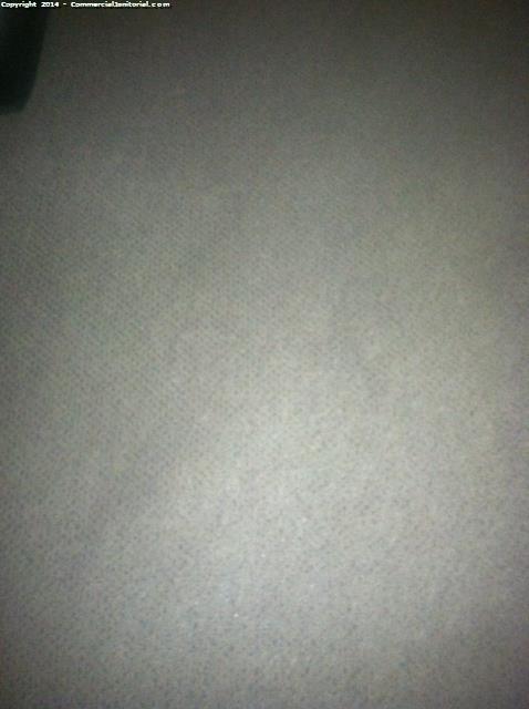 Office suite carpet cleaning, stains removed 
