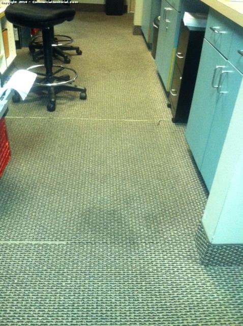 All carpets are permanently stained but our crew did there best to vacuum up all of the mess.